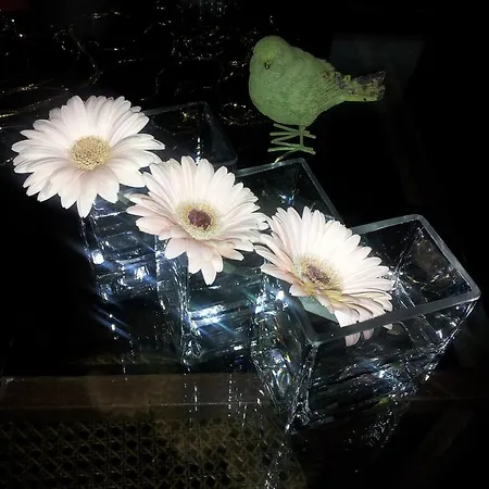 Bed & Breakfast Whatever Art *