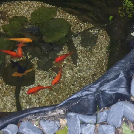 Whatever Art Bed & Breakfast *