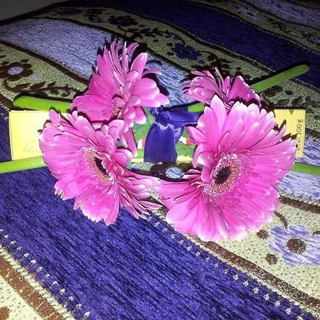 Whatever Art Bed & Breakfast Lisboa