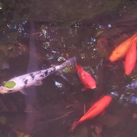 Whatever Art * Lissabon