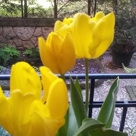 Bed & Breakfast Whatever Art Lisbon