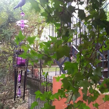 Whatever Art Frühstückspension Lissabon