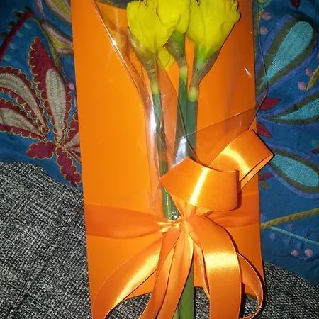 Whatever Art Frühstückspension