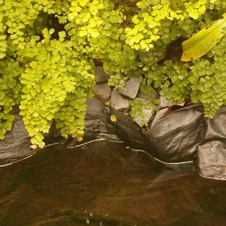 Bed & Breakfast Whatever Art Lisbon