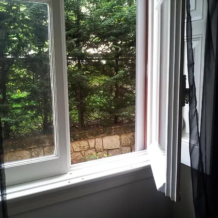 Frühstückspension Whatever Art