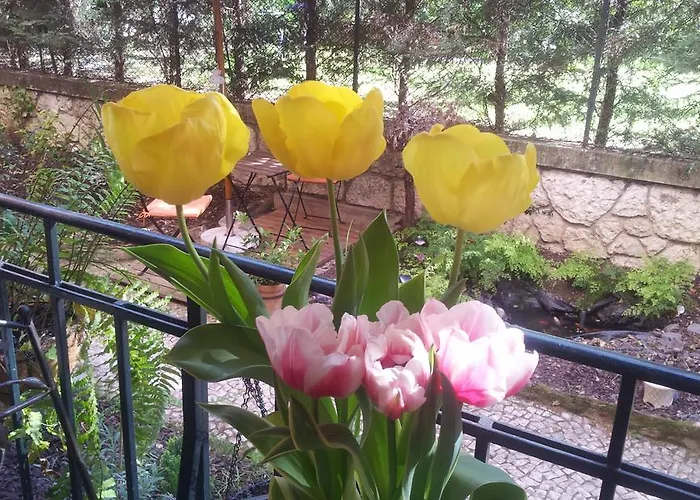 Whatever Art Отель типа 