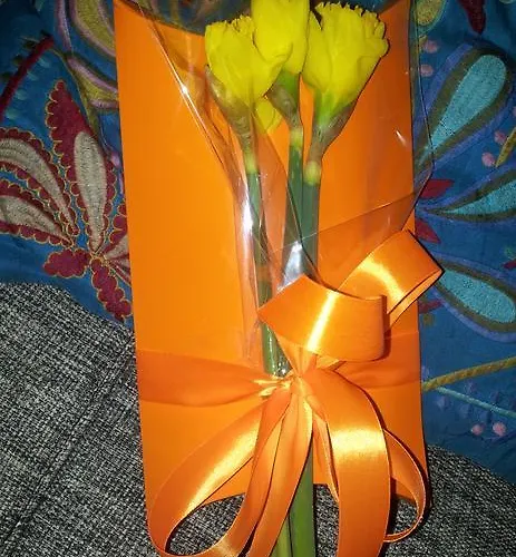 Whatever Art Oda ve Kahvaltı