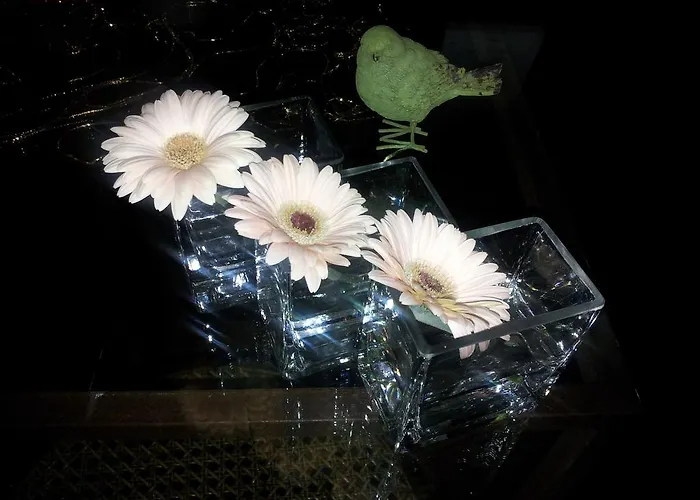 Oda ve Kahvaltı Whatever Art *