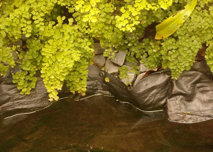 Oda ve Kahvaltı Whatever Art Lisboa