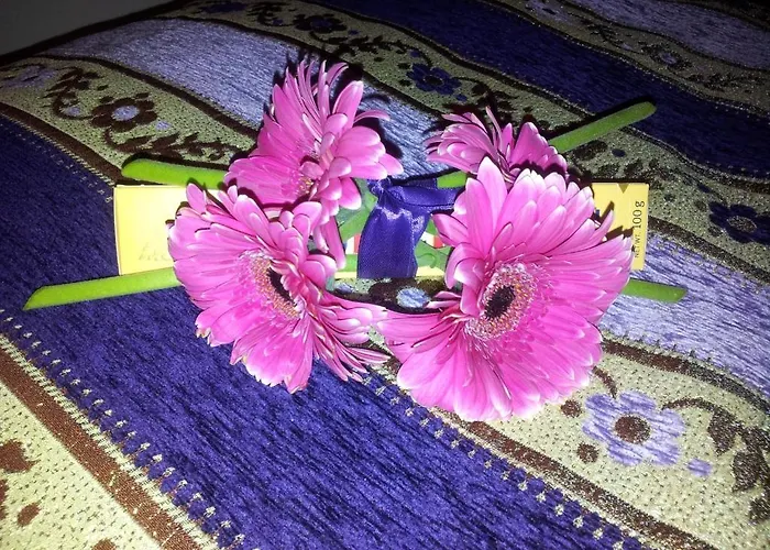 Whatever Art Oda ve Kahvaltı Lisboa