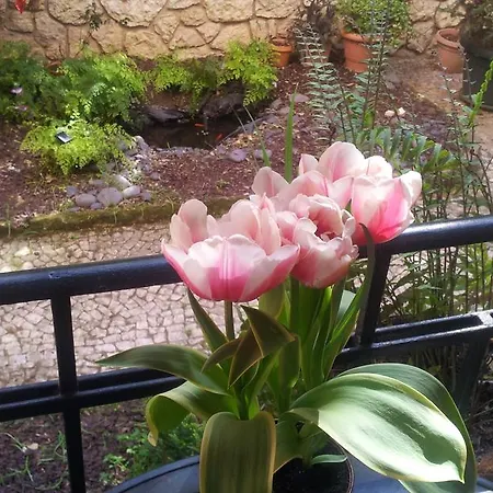 Whatever Art Alojamento de Acomodação e Pequeno-almoço *