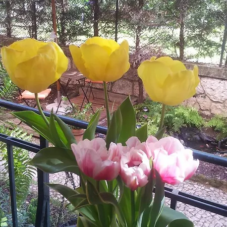 Whatever Art Alojamento de Acomodação e Pequeno-almoço Lisboa